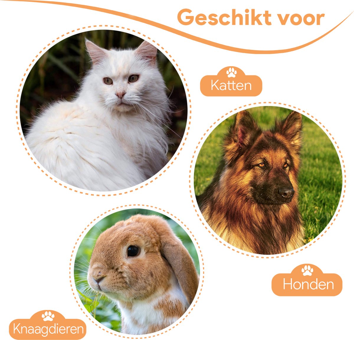 Phooba Zelfreinigende Stoomborstel 2026 - Draadloze 3-in-1 Borstel voor Honden & Katten