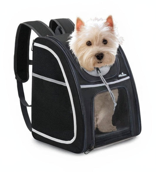 Phooba Hondenrugzak - Comfortabele & Waterdichte Draagrugzak voor Hond en Kat